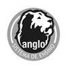 Anglo